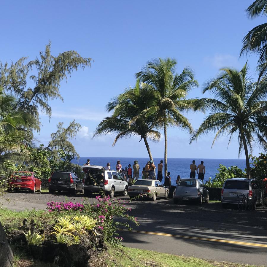 Coconut Palms Vacation Rental Near Lava Fields And Beaches Kehena Exterior foto